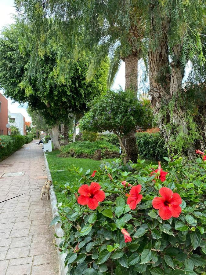 Casa Armonia Del Sol San Bartolomé Exterior foto